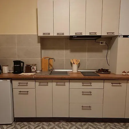 Castanilor 4 * Braszów