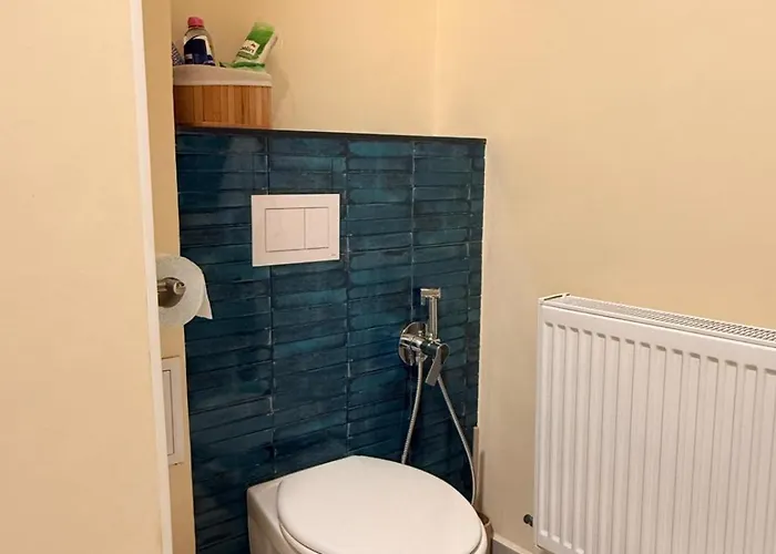 Apartment Castanilor 4 Brasov